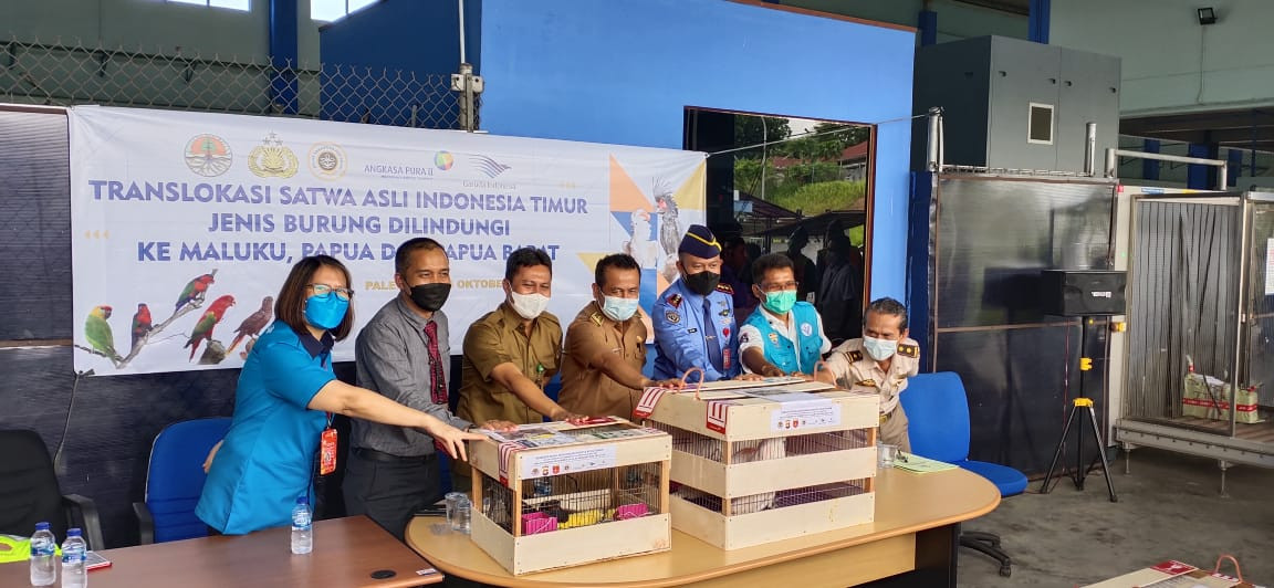Balai KSDA Sumatera Selatan Translokasi 64 Ekor Satwa